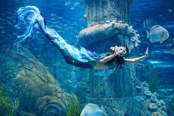 tour nha trang da lat ninh thuan mui ne 9n8d op2 7