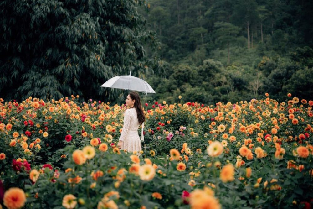 Tour Nha Trang - Đà Lạt - Ninh Thuận 6N5Đ (Lựa chọn 1) - Ảnh 11