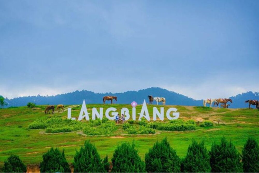 Tour Nha Trang - Đà Lạt - Ninh Thuận 6N5Đ (Lựa chọn 1) - Ảnh 9