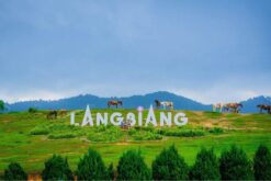 tour nha trang da lat ninh thuan mui ne hcm 9n8d op1 8