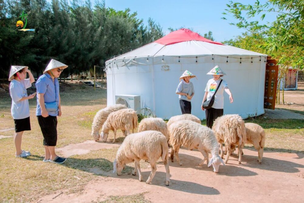 Tour Ninh Thuận 4N3Đ: Khám phá Vĩnh Hy - Đồi cát - Vườn nho - Ảnh 5