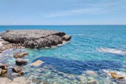 tour ninh thuan 4n3d tu nha trang 4