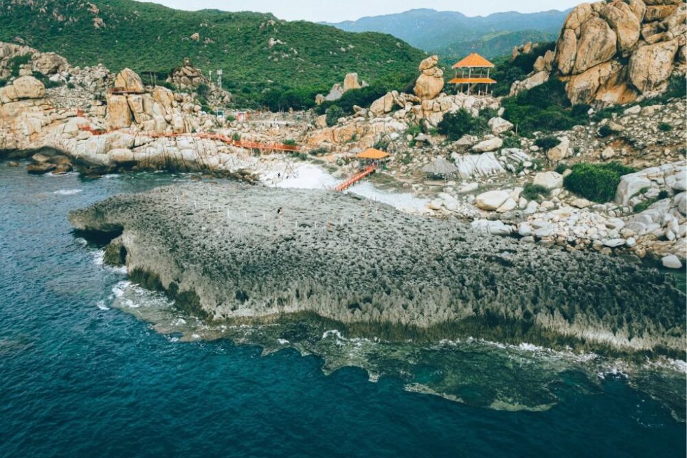 Tour Vĩnh Hy - Vườn Nho - Hang Rái - Đồng Cừu 1 ngày khởi hành từ Nha Trang - Ảnh 2