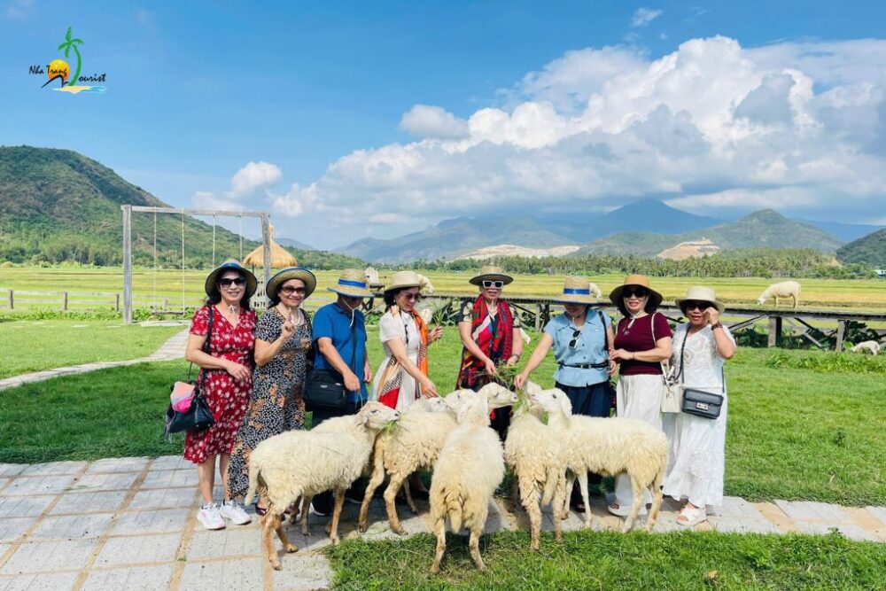 Tour Vĩnh Hy - Vườn Nho - Hang Rái - Đồng Cừu 1 ngày khởi hành từ Nha Trang - Ảnh 6