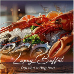 du thuyen halora elys cruise ngam hoang hon 2 1