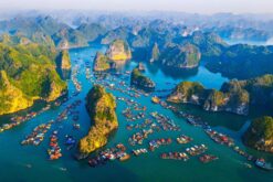 tour ha noi ha long ngu dem tren du thuyen 4 sao 3