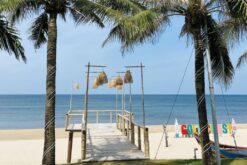 Alternative view of Tour Quảng Bình - Quảng Trị 4N3Đ khởi hành từ Nha Trang