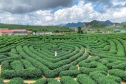 tour sapa lai chau dien bien moc chau mai chau 5n4d 11
