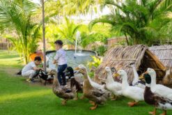 chuong trinh uu dai fusion resort cam ranh 3