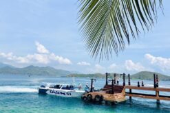 tour 3 dao bai tranh lang chai hon tam 4