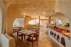 uu dai tet 2027 tai ibala hotel spa 3