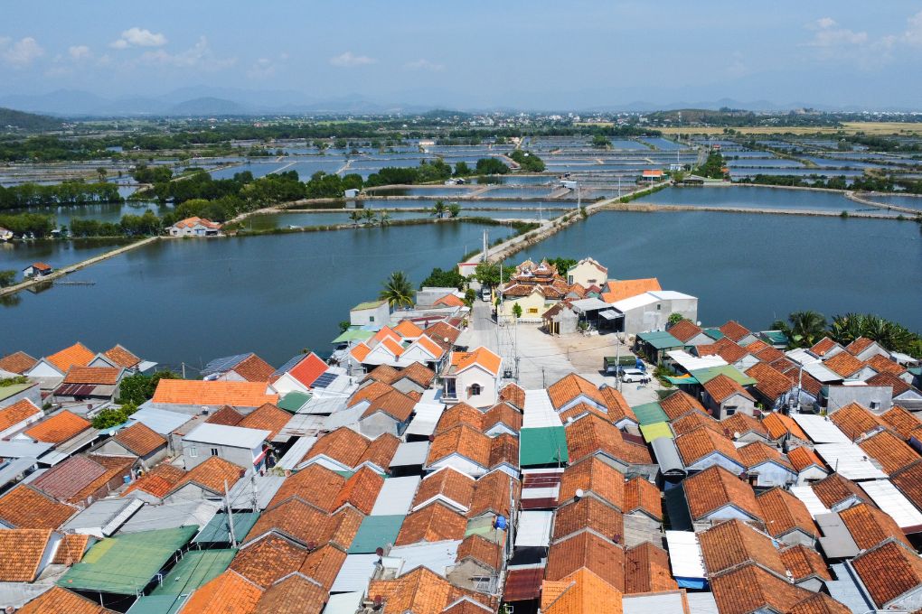 dam nha phu nha trang 3