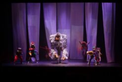show roi mo 5