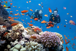 luxury nha trang private tour 3 days 4