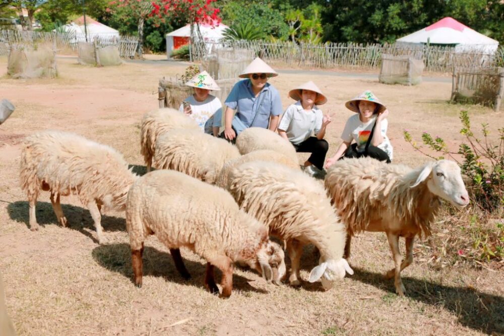 Suoi Tien Sheep Farm