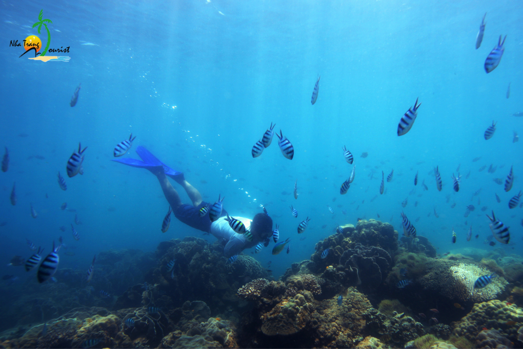 Snorkelling in the clear waters around Ninh Van Bay adds an active sea experience to a secluded resort stay