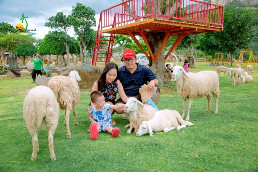 Tour Mũi Né - Ninh Thuận 5N4Đ từ Hà Nội | Bàu Trắng - Vĩnh Hy - Ảnh 3