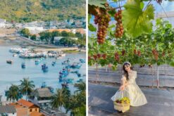 Tour Hà Nội Vĩnh Hy 3 Ngày 2 Đêm | Bình Lập - Bình Hưng
