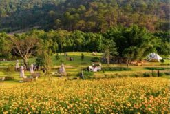 tour nha trang da lat ninh thuan 5n4d tu ha noi 15