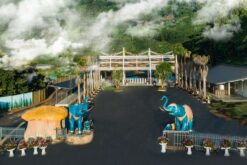 tour nha trang da lat ninh thuan 5n4d tu ha noi 16