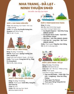Alternative view of Tour Nha Trang - Đà Lạt - Ninh Thuận 5 ngày 4 đêm từ Hà Nội