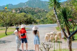 tour nha trang ninh thuan 4n3d tu ha noi 6