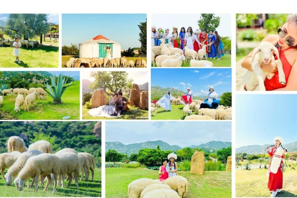 Tour Nha Trang - Ninh Thuận 4N3Đ từ Hà Nội | Vĩnh Hy - Văn Hóa Chăm - Ảnh 4