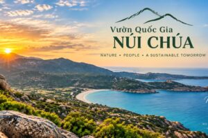 Vườn Quốc gia Núi Chúa: Rừng khô hạn, biển xanh và hành trình trekking khác biệt